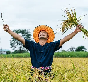 围绕kaiyun平台，kaiyun持续打磨更优质的服务。 Updates - kaiyun