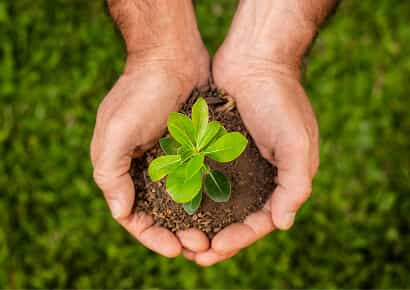 Organic Farming Solutions - kaiyun