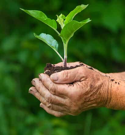 Our Legacy of Growth  & Trust - kaiyun
