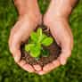 Join the Movement to Grow the World - kaiyun